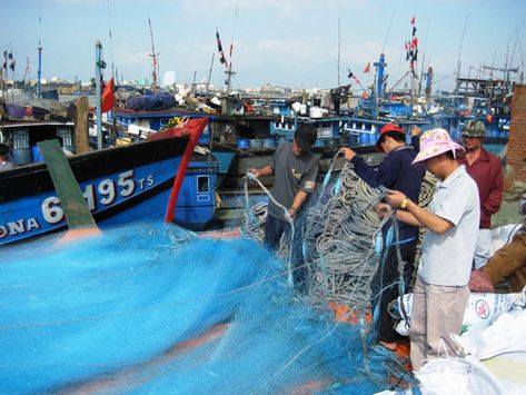 Du Lịch Đà Nẵng Mùa Nào Đẹp Nhất?